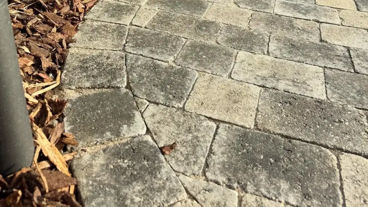 AdobeStock_357302450