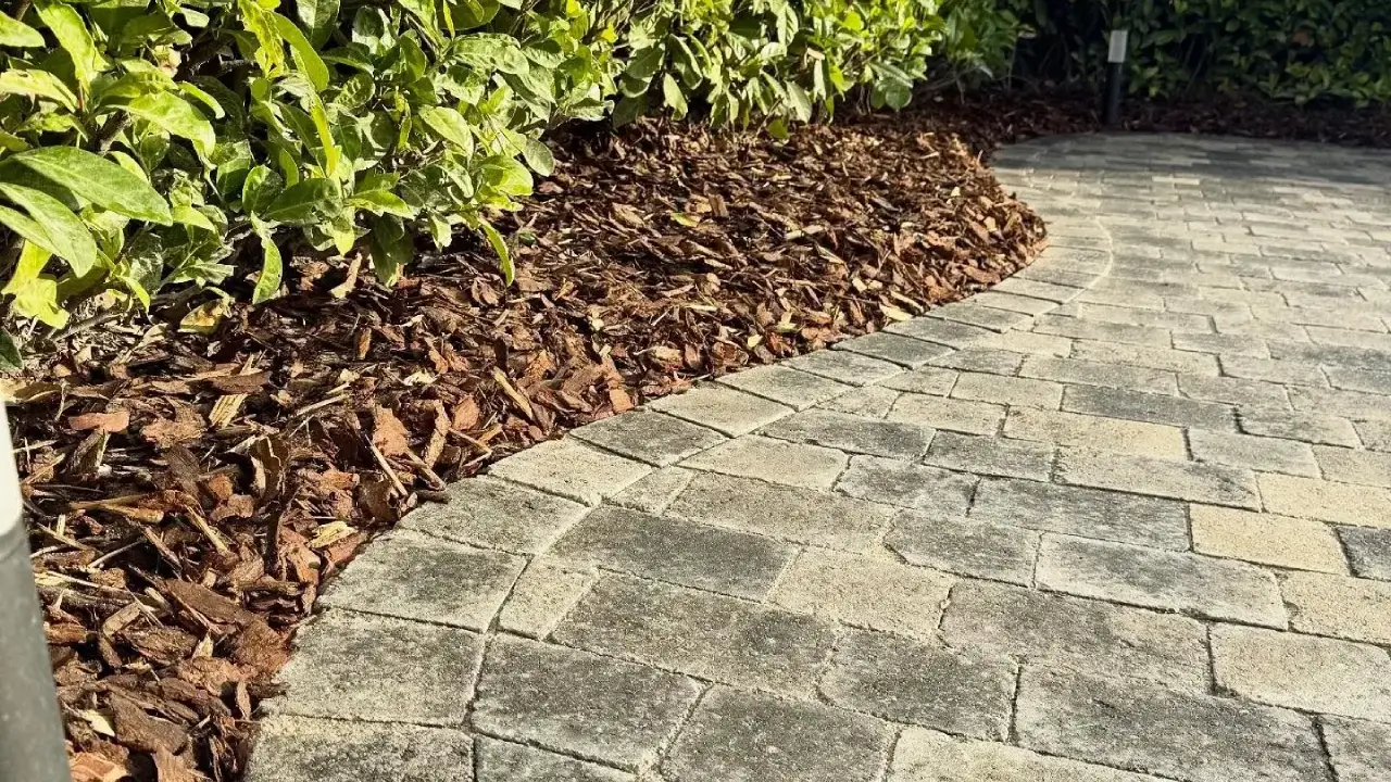 AdobeStock_471645221