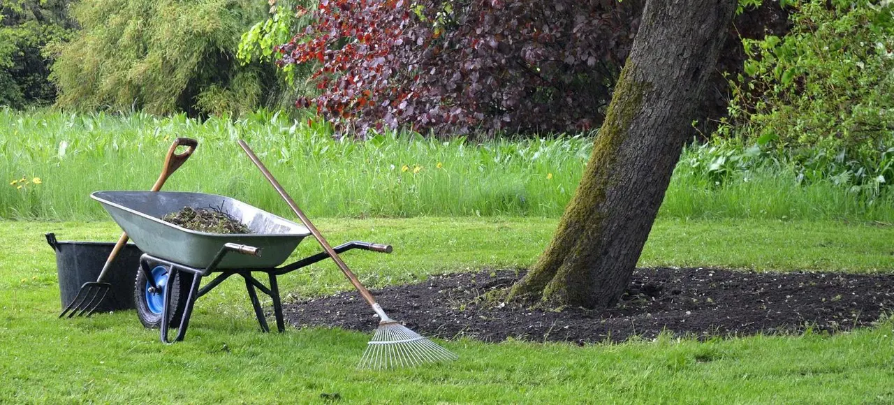 Entretien paysager à Thionville : taille, tonte et soins saisonniers par un professionnel local