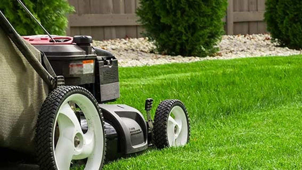 AdobeStock_357302450